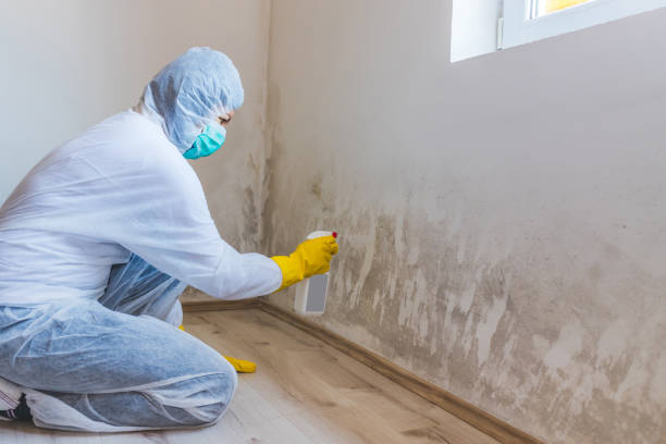 Crawl Space Mold Remediation treatment of floor joists in Havre de Grace